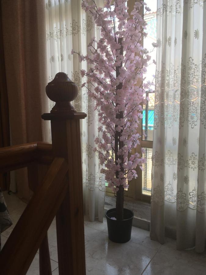Casa Phoenix Bed & Breakfast Bed & Breakfast La Marina Luaran gambar